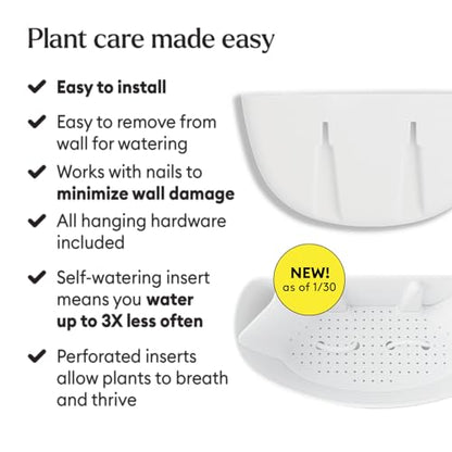Make Good Virgo Wall Planters (Wide, Set of 6) - Easy to Water and Install - Lightweight - Design Your Own Vertical Garden - Melamine Plastic