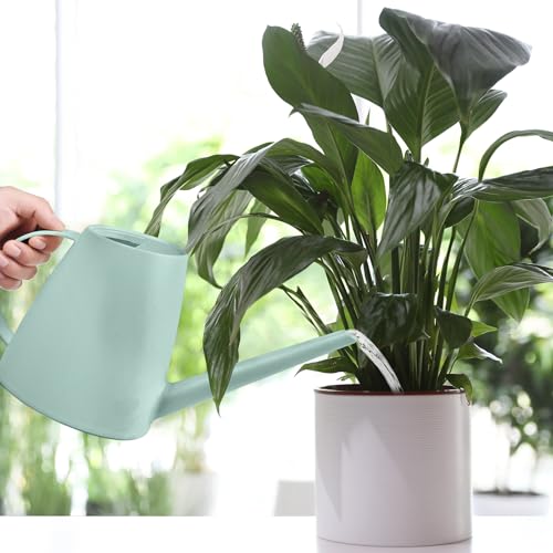 Hand Plastic Watering Can - for Home Plant Garden - 1/2 Gallon - Light Green - color: Light Green