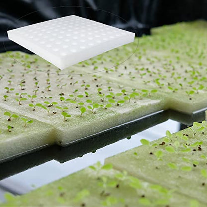 600 Pcs Hydroponic Sponges, 1 in Square Seedling Sponges for Bud