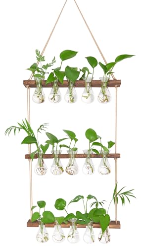 XXXFLOWER Wall Hanging Propagation Station 5 Bulb Vase 3 Tiers Brown - size: Brown-15 Bulb Vase