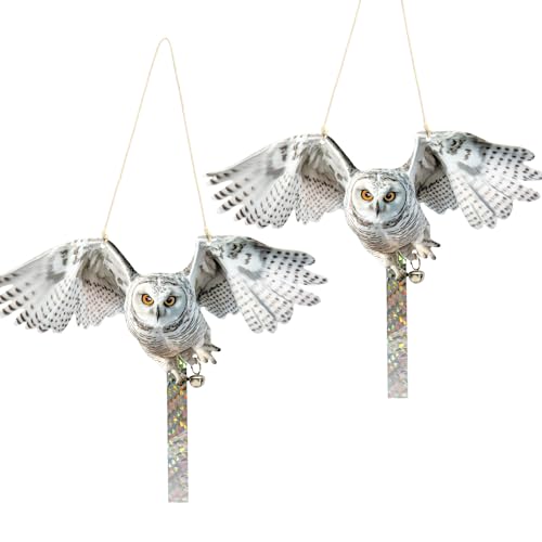 2Pack Fake Owls Hawk Plastic Owl, Reflective Hanging Owl Decoration, Barn Swallow Deterrent Garden Owls Scare Devices for Indoor Outdoor Garden,Yard - color: 2 White Winged Eagle