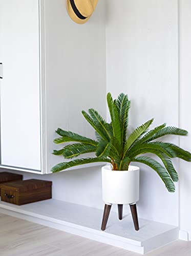 D'vine Dev 8 Inch Planter Pot with Wood Stand, White, 88-O-A-1 - color: Matte White, size: Small
