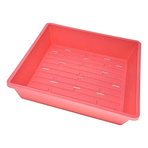 Bootstrap Farmer 1010 Microgreen Tray, Pink 10 Pack, with Drain Holes Extra Strength Flat, Grow Seedlings Plants Wheatgrass Hydroponic Systems Sprouting Fodder Starter - color: Pink