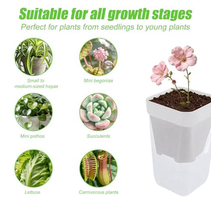 12 Sets 2.5" Mini Self Watering Pots with Humidity Dome & Plant Labels