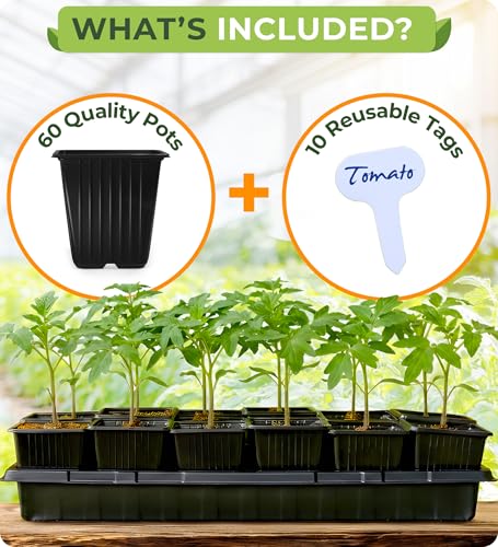 CARPATHEN Nursery Pots for Plants with Drainage Holes, 3.5 inch, 60 Pack