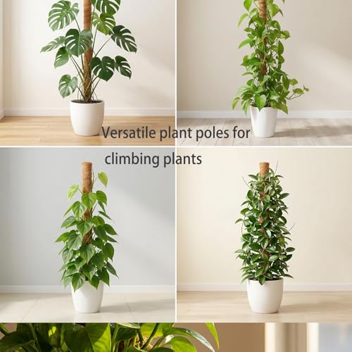 63" Moss Pole Monstera Plant Support Plant Stakes for Indoor Plants
