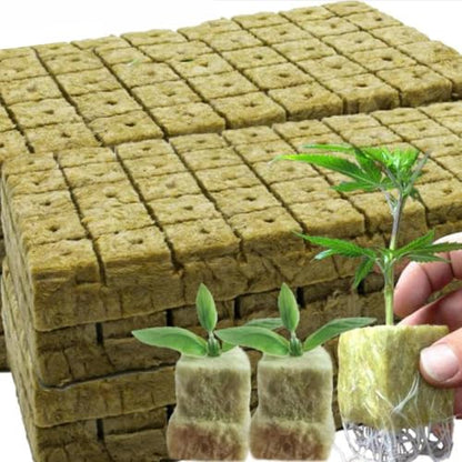 50pcs Planting Cubes Sponge Block Starter Plugs Stone Hydroponic Seed Block