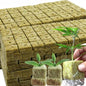 50pcs Planting Cubes Sponge Block Starter Plugs Stone Hydroponic Seed Block