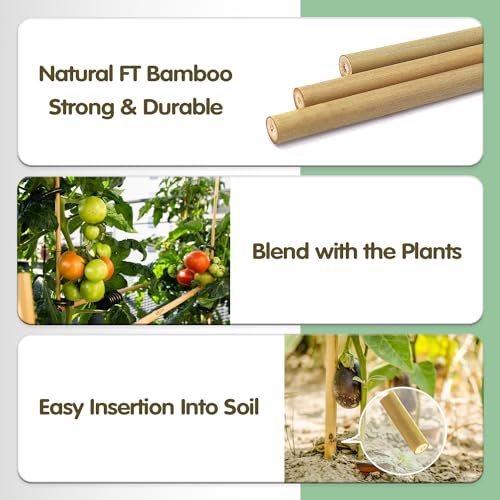 Bamboo Stakes,4.8FT Natural Bamboo Garden Stakes,BOVITRO 20Pcs Plant Stakes - size: 57.6 Inches, Pack of 20