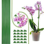 LeJoy Garden 22Pcs Bendable Plant Stakes with Clips for Orchid, Monstera - color: Green
