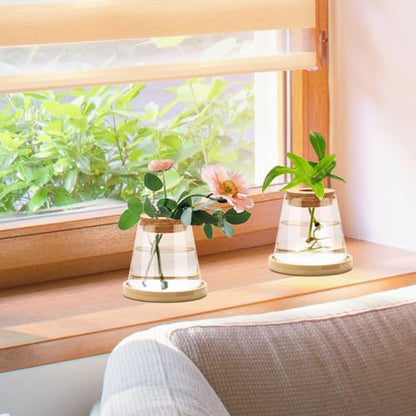 2 Pcs Plants Propagation Station, Desktop Glass Planter Station