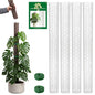 4 Pack 24 Inch Stackable Support,Plastic Moss Pole for Monstera - size: 4 PACK-24Inch