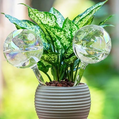 Glass Plant Watering Device, Planter Self Watering Globes for Home Potting - color: R.Clear Glass 6pcs