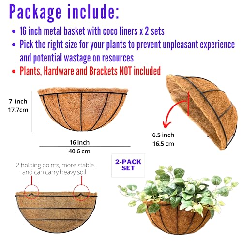 LaLaGreen Large Wall Planter (16 in, 2 Pack) Coco Liner Flower Baskets - size: 16" x 2 Pack