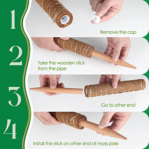 Pisol Moss Pole for Plants Monstera, Extendable Plant Sticks Support, 2Pcs