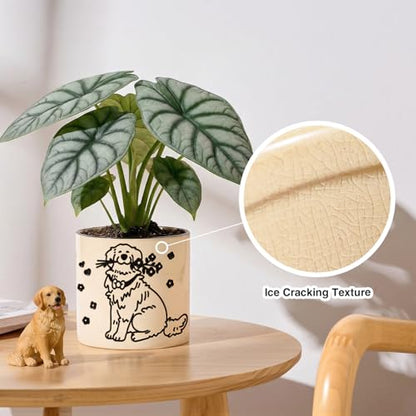 STHIE Ceramic Planters with Drainage Holes, 5 Inch Pots for Indoor Plants - color: Cy-goldflower02