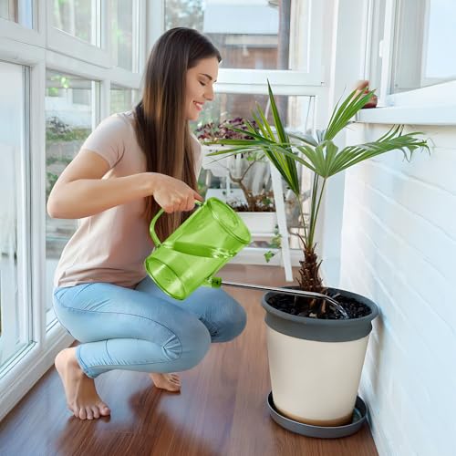 Plastic Watering Can - Small with Long Spout - 1/4 Gallon - 32 Oz - Green - color: Green