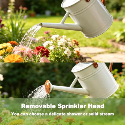 1 Gallon Watering Can for Outdoor&Indoor Plants，White - color: White