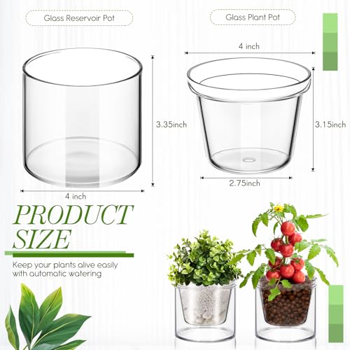 Baderke 2 Pcs 4 Inch Self Watering Pot for Indoor Plants Clear Glass Planter Small Plant Pot with Saucer Reservoir Drainage Holes Bottom Watering Pot for African Violet Orchid Flowers Houseplant - style: /