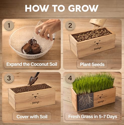 Cat Grass Kit for Indoor Cats – x4 Seed Packets