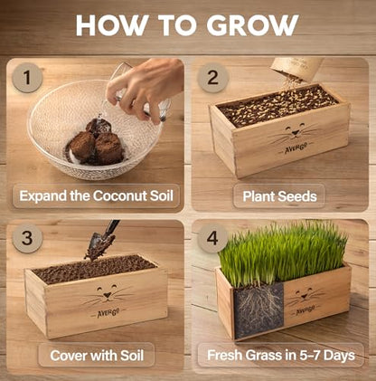 Cat Grass Kit for Indoor Cats – x4 Seed Packets