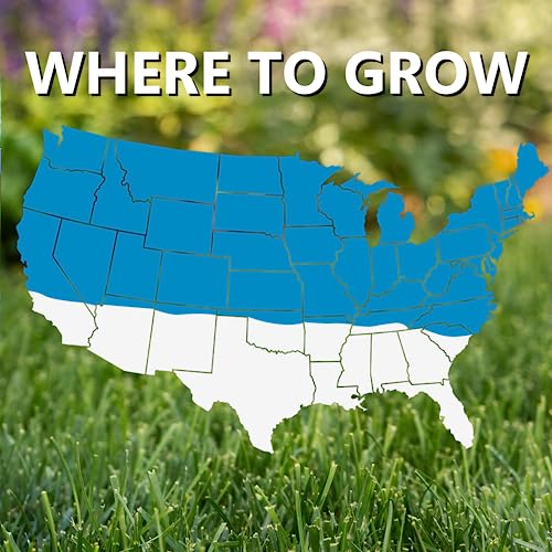 Jonathan Green Blue Panther Kentucky Bluegrass Grass Seed - 25 lb - size: 25 lb