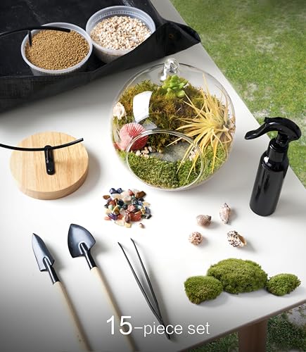 LuckyRunes DIY Terrarium Kit with Live Moss, 15-Piece Glass Globe Set