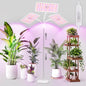 KINGPLUS 48W Grow Light for Indoor Plants with Stand, Tri-Head Plant Light - size: Three-Heads