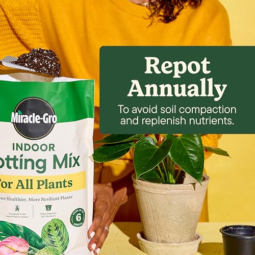 Miracle-Gro Shake 'N Feed All Purpose Plant Food, 4.5 lb. (6-Pack) - size: 16 qt (2-Pack)