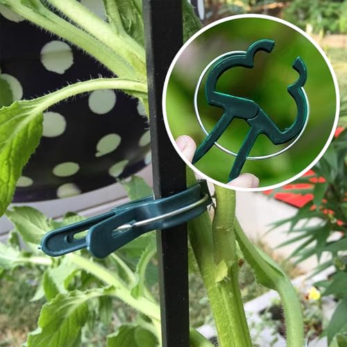 Plant Clips for Climbing Plants, Garden Support for Tomatoes & Vine - size: 20 Small + 20 Big