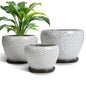 Ceramic Plant Pots, 10+8+6 Inch Flower Pot Indoor, White-Black - color: White-black