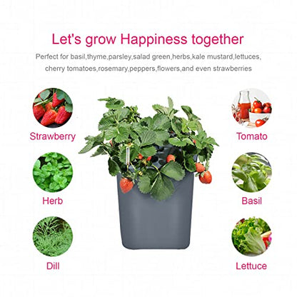 2 Hydroponic Buckets Kit for Plants, Hydroponics Growing System for Herbs/Tomato/Vegetables, DWC System with Air Pump & Germination Tray (Complete Indoor Hydroponic Gardening Supplies) - size: 2 Buckets Kit (Grey)