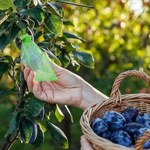 20 Pcs Fruit Protection Bags 10 X 12 cm Breathable Fruits Netting Bags for Fruit Trees Green Mesh Bag with Drawstring Plant Covers from Insects Protect Fruits Vegetables Tomato Apple Peach