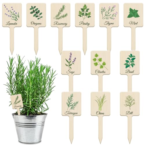 UPINS 24Pcs Acrylic Plant Labels Herb Plant Markers Plant Tags Signs with Printed Name for Indoor Outdoor Gardens Herbs Seedlings Plants - style: Plant