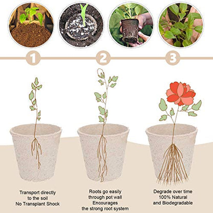 Biodegradable Peat Pots Set (10-Piece) - size: 1 Pack