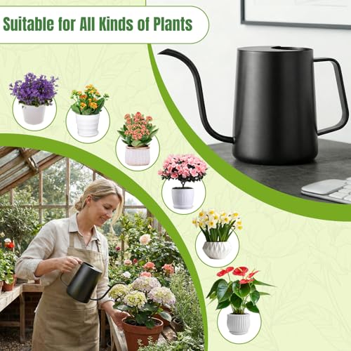 Watering Can Indoor Plants, 34oz Stainless Steel Long Spout, Black - color: Black