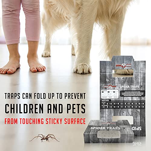 Trap a Pest Indoor Sticky Spider Traps - Glue Traps - 16 Pack - size: 16 Pack