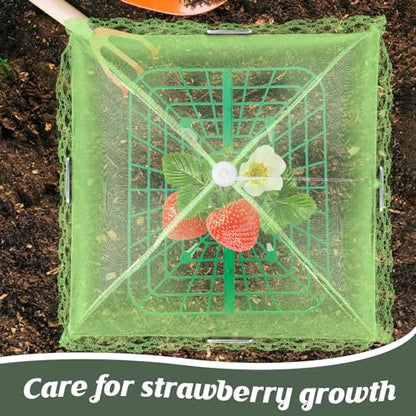 4 Sets Strawberry Plant Support with Mesh Plant Cover,Strawberry Growing Racks Sets with Iron Plant Nails and Storage Bag for Garden Strawberry Vegetables(Green Net - Square) - color: Green Net - Square