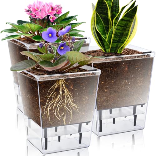 Self Watering Pots Set, Clear Self Planter Pot for Indoor Plants - size: 3Pcs Large