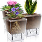 Self Watering Pots Set, Clear Self Planter Pot for Indoor Plants - size: 3Pcs Large