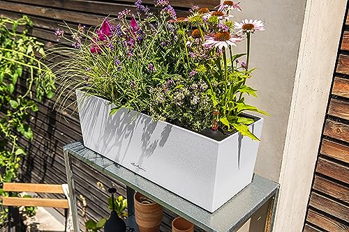 Lechuza BALCONERA Stone 50 Quartz White, Self-Watering Window Box (Railing Planter), H7.5 L19.7 W7.5 in - size: L50 W19 H19 cm