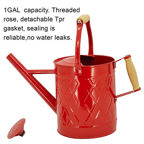 1 Gallon Red Metal Watering Can, Removable Spout - color: Red, size: 1 Gallon