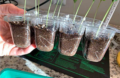 UWIOFF 12-Pack Seed Starter Trays, 144 Cells Seed Starting Tray