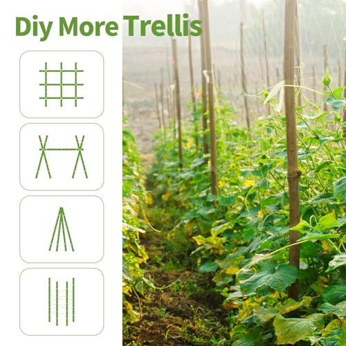 Plant Stakes, 4FT Natural Bamboo Garden Stakes, 25Pcs Bamboo Plant Stakes,Bamboo Sticks for Tomato,Beans,Vegetable and Climbing Plants - size: 4 Ft, 25 Pack