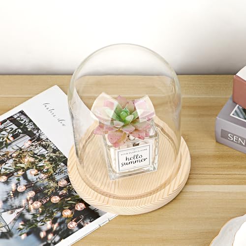 Hipiwe Glass Display Dome Cloche with Wood Base Clear Glass Display Bell Jar Decorative Flower Display Dome for Plants, Figure, Antique Collectibles, 4.5 x 6.1 Inches - size: 4.5 x 6.1 Inch