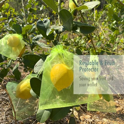 Fruit Protection Bags, Fetanten 8x12 in Mesh Drawstring Bag for Fruit Trees - size: 8 x 12 Inch 80pcs