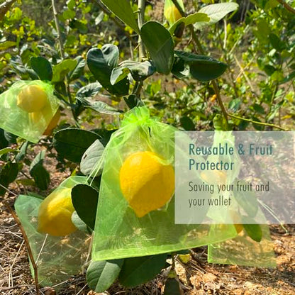 Fruit Protection Bags, Fetanten 6x8 in Mesh Drawstring Bag for Fruit Trees - size: 6 x 8 Inch 100pcs