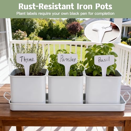 Indoor Herb Planter with 3 Herb Pots and Handled Tray