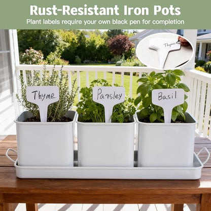 Indoor Herb Planter with 3 Herb Pots and Handled Tray