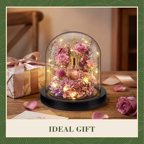 Suclain 4Pc Glass Dome Cloche with Wood Base, Black, 4.3" X 3.8" - color: Black, size: 4.3" X 3.8"